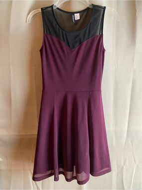 Sleeveless Mesh Yoke Skater Dress in Plum